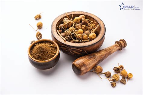 Individual Health Insurance Plan - Buy Individual Medical Policy Online ...