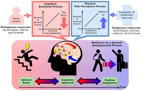 Neurocognitive Mechanism of Human Resilience: A Conceptual Framework ...