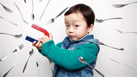 Image result for How a Magnet Works