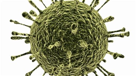 HealthFeed by month | University of Utah Health