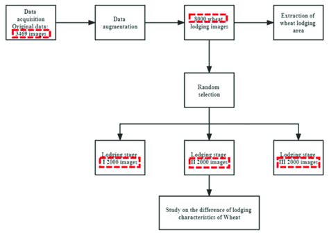 Webodm Tutorial 的图像结果