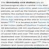 write in detail about Bhimbetka Caves - Brainly.in