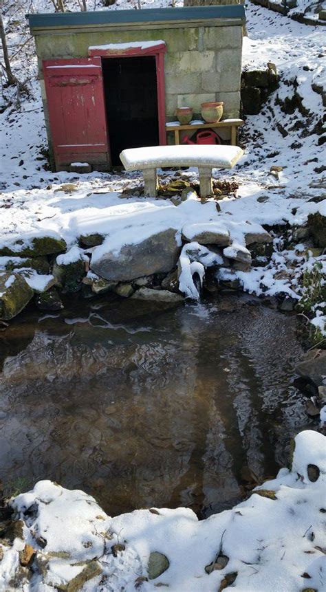 Spring Water Pond 的图像结果