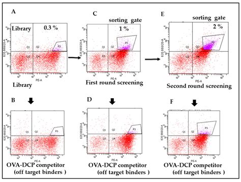 Yeast Surface Display Platform for Rapid Selection of an Antibody ...