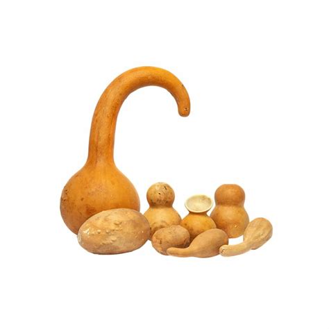Understanding the Calabash Massage Tool: Uses and Benefits for Spa Treatments – Holistic Emporium