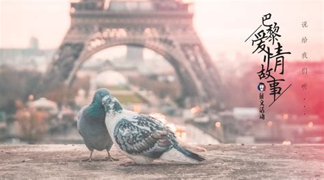 10个“巴黎爱情故事”，哪个最能打动你的心？