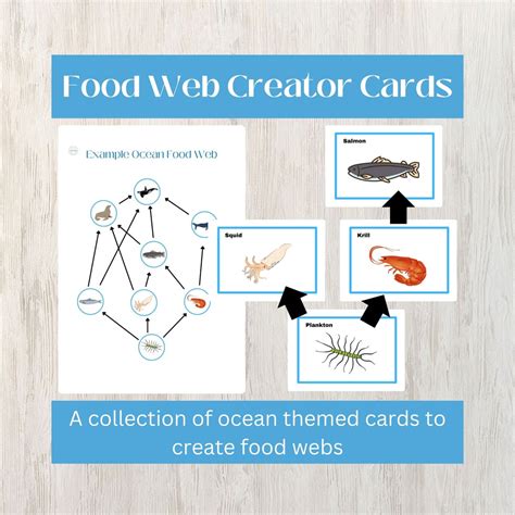 Image result for Create a Food Web
