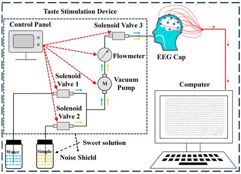 Adaptive Identification of Food Sweetness Concentration: An ...