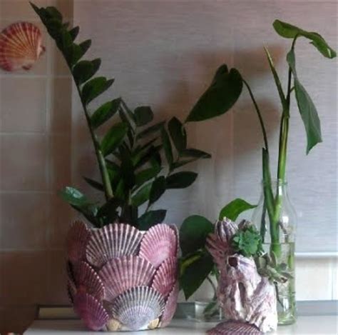 Image result for Scallop Shell Crafts