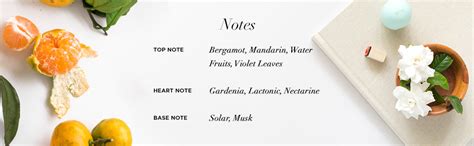 Buy The French Factor Lady Noir Perfume For Women 100ml | EAU De Parfum ...