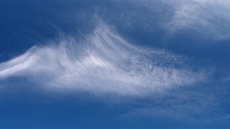 Bloomsburg, PA Weather Forecast, Conditions, and Maps – Yahoo Weather