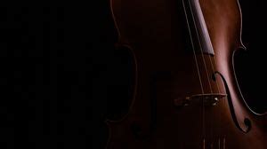Cello wallpapers hd, desktop backgrounds, images and pictures