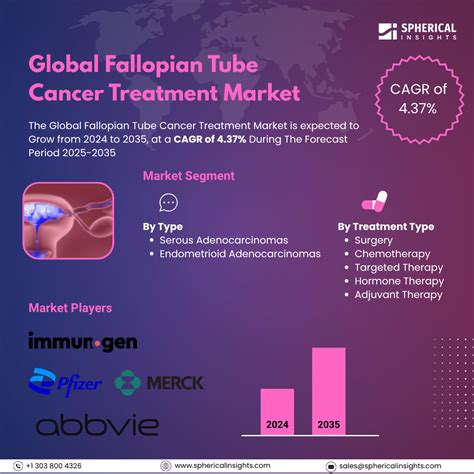 Fallopian Tube Cancer Treatment Market Size, Analysis To 2035