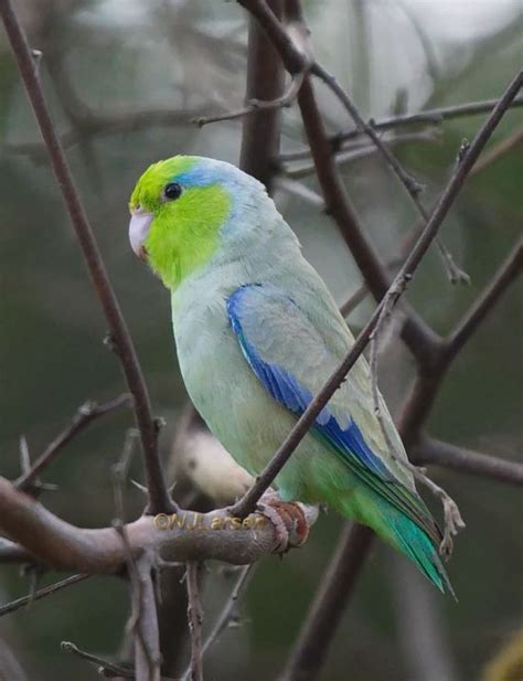 Image result for Book for Computer Programming