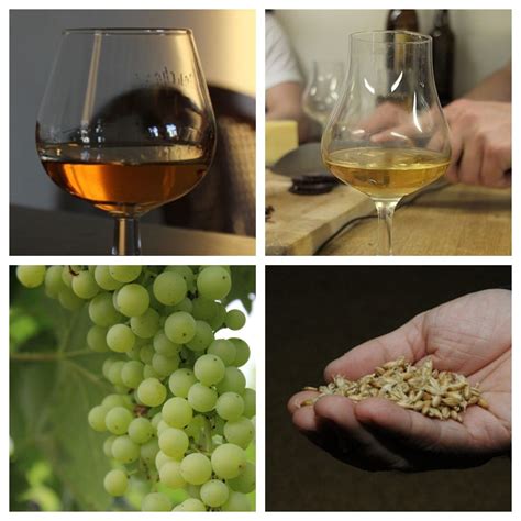 Cognac vs whiskey – Artofit