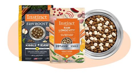 quest raw cat food