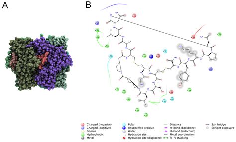 From Mollusks to Medicine: A Venomics Approach for the Discovery and ...