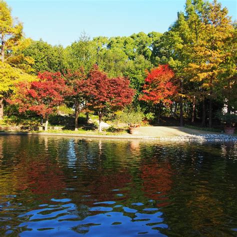 HISAYA-ODORI GARDEN FLARIE (2026) All You Need to Know BEFORE You Go ...