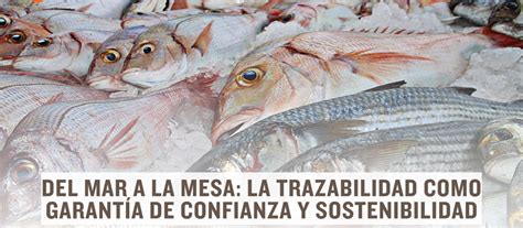 Del mar a la mesa: la trazabilidad como garantía de confianza y ...