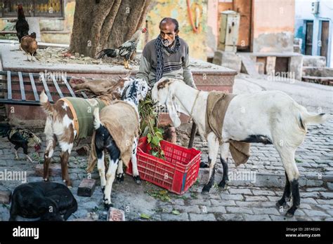 India Local Peple 的图像结果