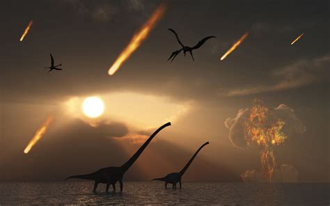The dinosaurs didn’t go out the way you think they did — study