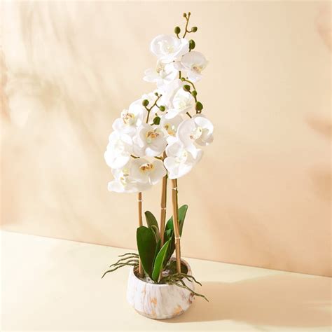 Buy Gloria Orchids Artificial Flowers in Pot from Home Centre at just ...