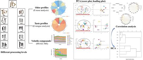 Characterization, Classification, and Authentication of Polygonatum ...