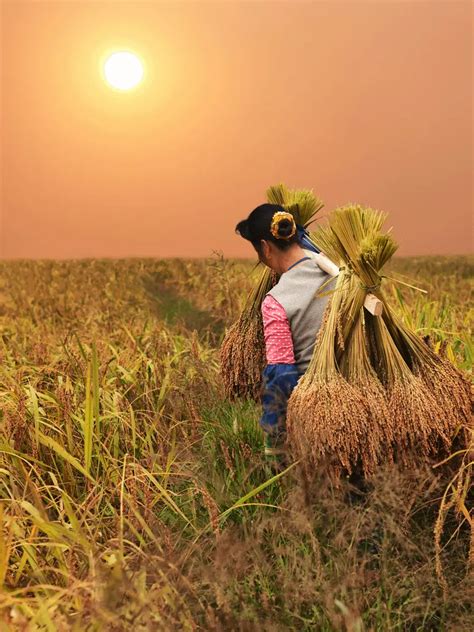 PM Kisan 13 Instalment: How to do OTP based eKYC | EconomicTimes