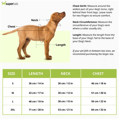 Talking Dog Club Coolios Cooling Vests for Dogs (Blue) | Supertails