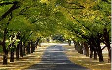 best hd best desktop hd wallpaper autumn wallpapers best hd best desktop hd wallpaper autumn wallpapers
