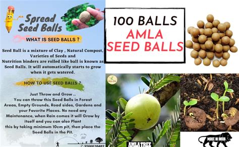 Human Birds Seed Balls Slingshot|Slingshot With 100 Seed Balls Gulel ...