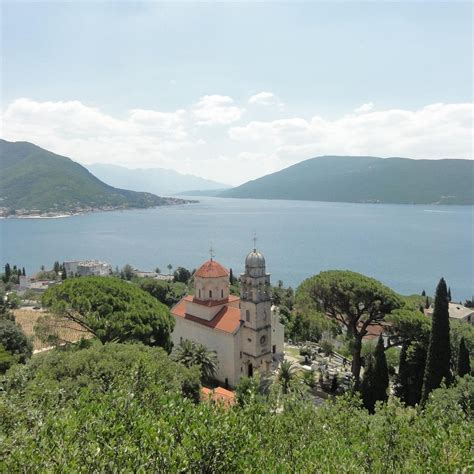 SAVINSKA DUBRAVA PARK (2026) All You Need to Know BEFORE You Go (with ...