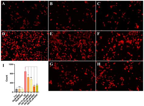 A Molecular Integrative Study on the Inhibitory Effects of WRR and ERW ...