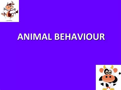Image result for Animal Behaviour