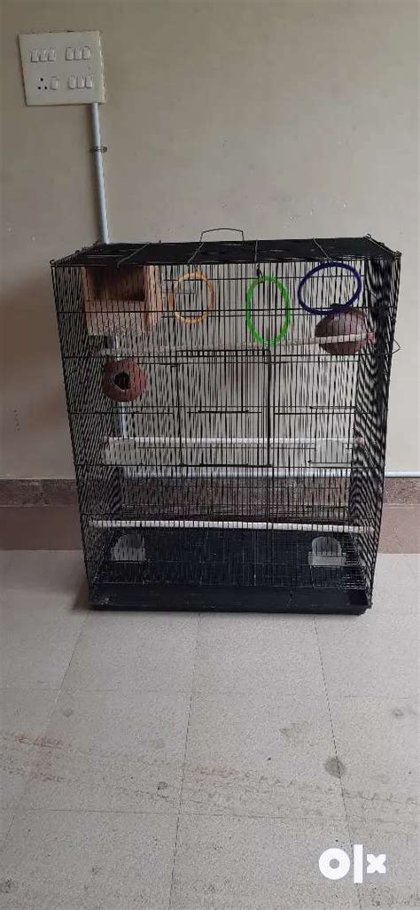 Birds cage - Pet Food & Accessories - 1777213160