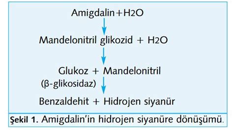 Bileşikler - Hidrosiyanik Asit