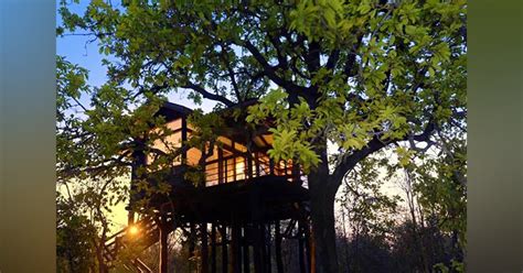 Treehouse Hideaway, Bandhavgarh | LBB