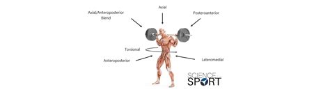 Image result for Force Vector Rotations