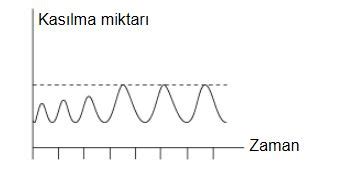 Kas Sistemi Nedir - Kas Sisteminin Yapısı ve Görevleri