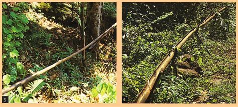 SATHEE: Chapter 03 Water Resources