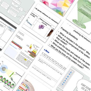 Image result for Heritable Variation