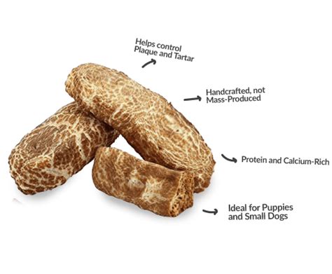 Dogsee Chew India - Cheesy Dog Treats Made from Himalayan Churpi