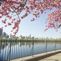 Explore Central Park