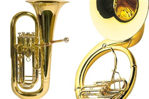 Tuba vs Sousaphone - What's the Difference? - Musical Mum