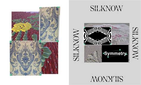 Applying Axial Symmetries to Historical Silk Fabrics: SILKNOW’s Virtual ...