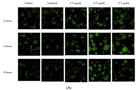 Acanthaster planci Inhibits PCSK9 Gene Expression via Peroxisome ...