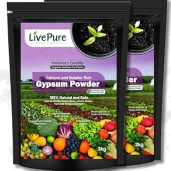 Livepure Organic Gypsum Powder Enriched with Neem Extract (4 KG ...