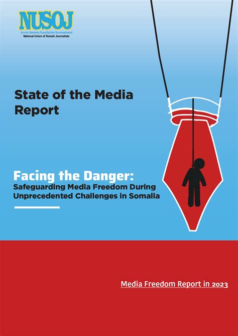 How The Media Reports