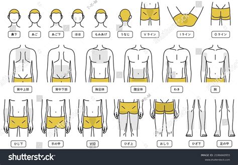 Pubic Hair Designs Men