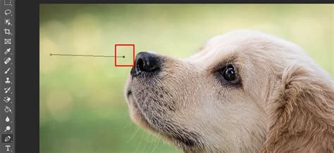 How to Draw an Arrow in Photoshop – Tech Lounge